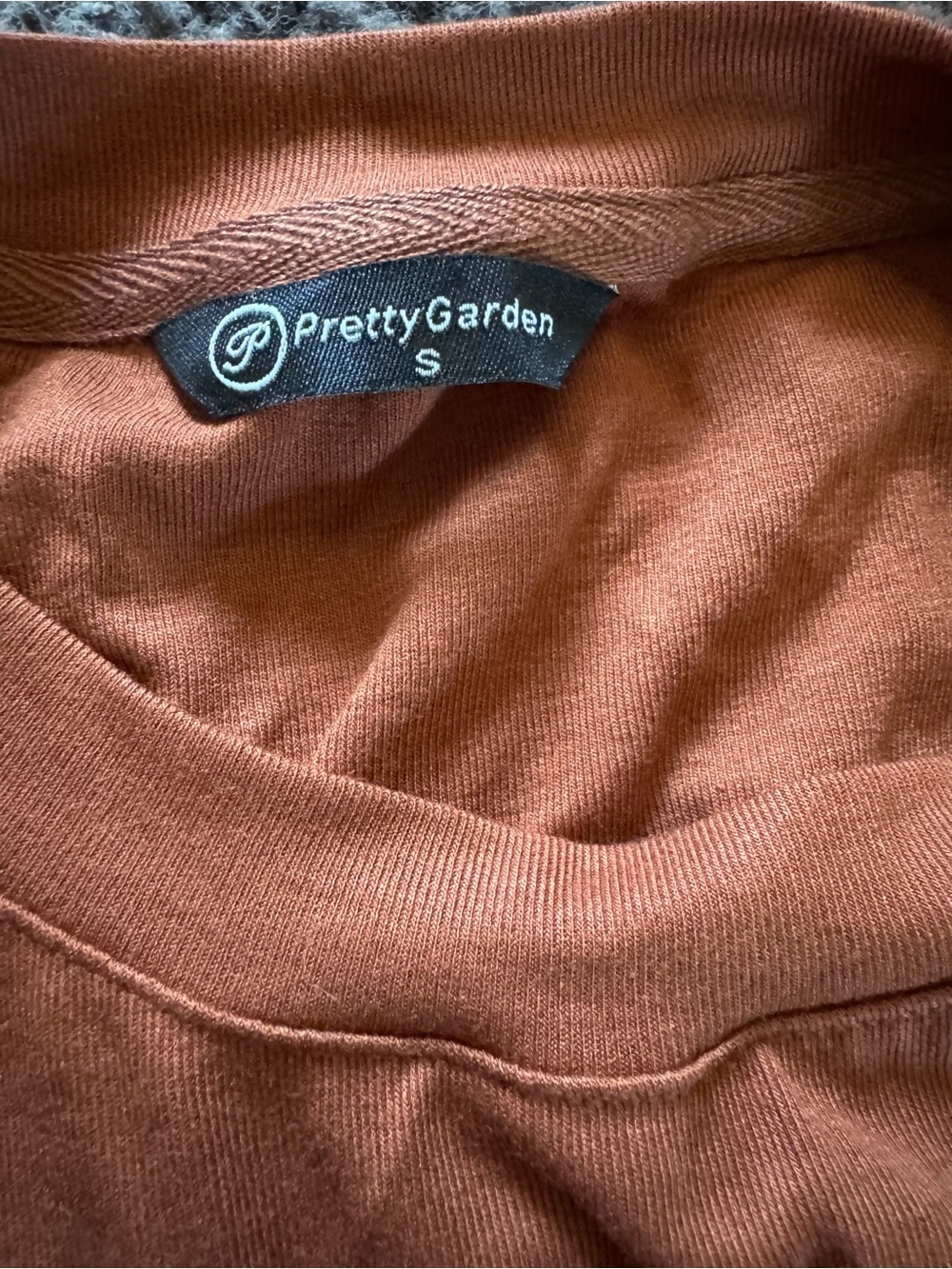 PrettyGarden Rust Orange Crewneck Top and shorts set